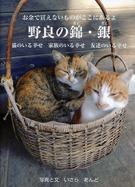 野良の錦・銀