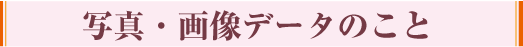 ʐ^E摜f[^̂